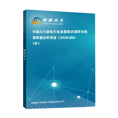 中國火力發電行業發展現狀調研與投資前景分析報告（2024-2031年）